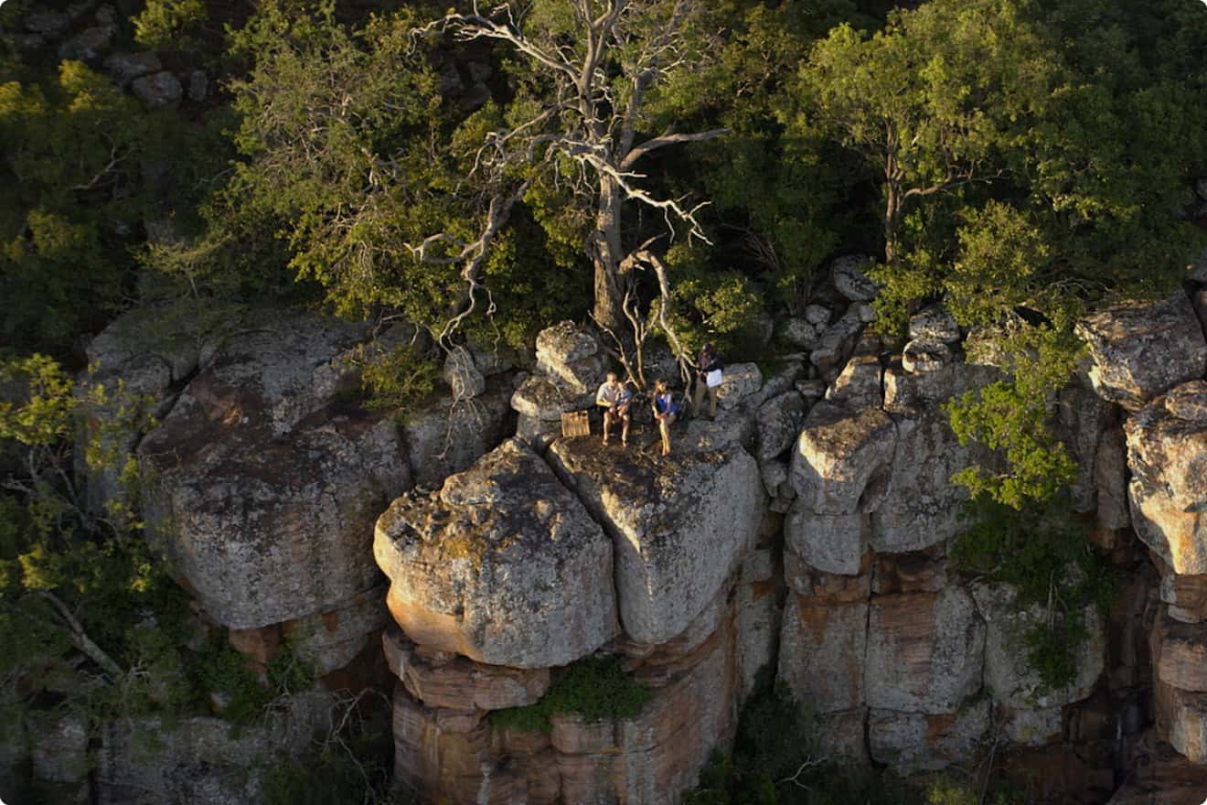 Heli-Picnics